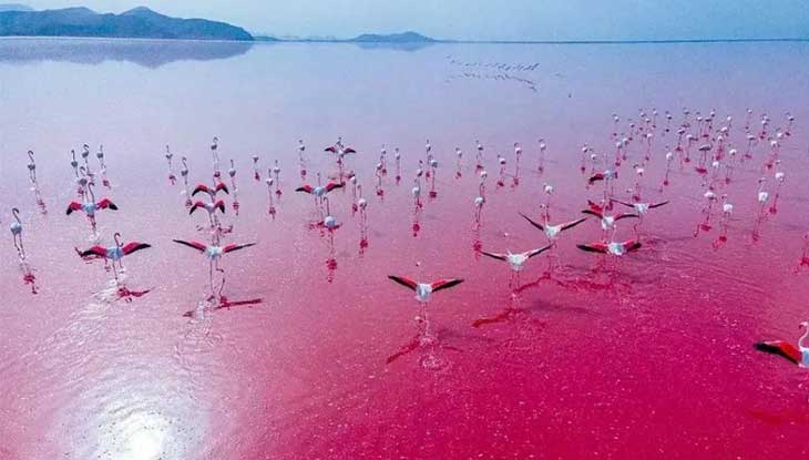 دریاچه مهارلو