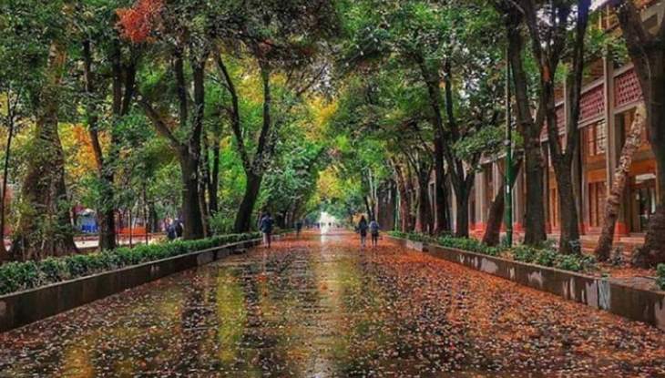 خیابان زیبای چهار باغ اصفهان