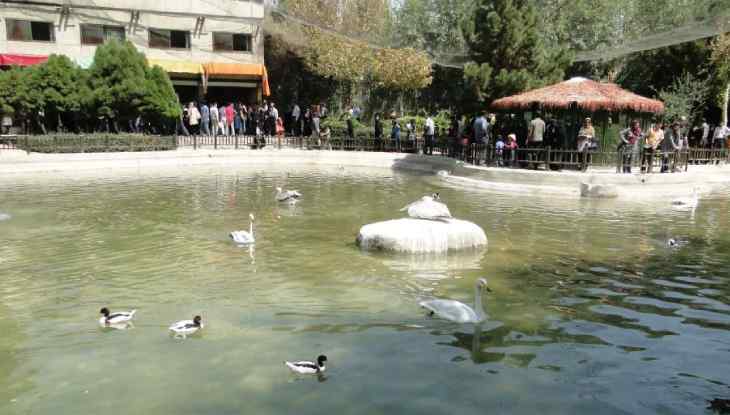 همه چیز در مورد باغ پرندگان اصفهان