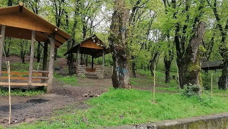 پارک های جنگلی تهران
