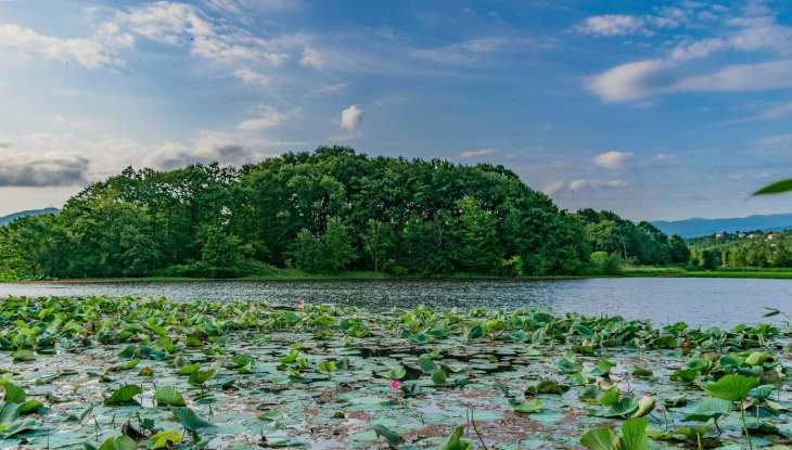 مهمترین تالاب ها و مرداب های گیلان تالاب کیاکلایه گیلان