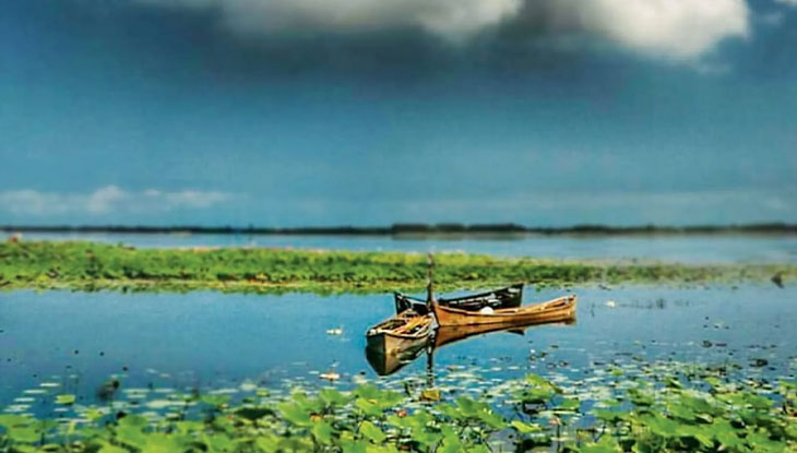 مهمترین تالاب ها و مرداب های گیلان تالاب انزلی