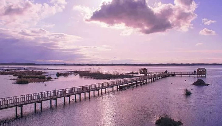 مهمترین تالاب ها و مرداب های گیلان تالاب امیر کلایه