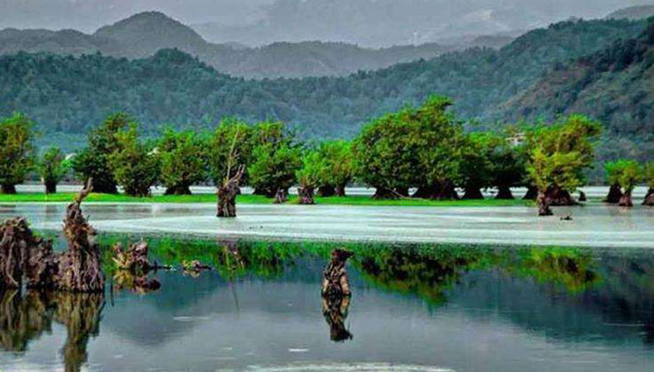 مهمترین تالاب ها و مرداب های گیلان تالاب استیل