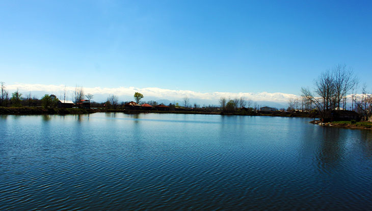 مهمترین تالاب ها و مرداب های گیلان تالاب عینک