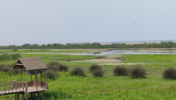 مهمترین تالاب ها و مرداب های گیلان تالاب جوکندان