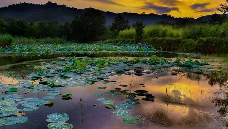 کجای لاهیجان چادر بزنیم؟ بهترین مناطق لاهیجان برای چادر زدن تالاب سوستان لاهیجان